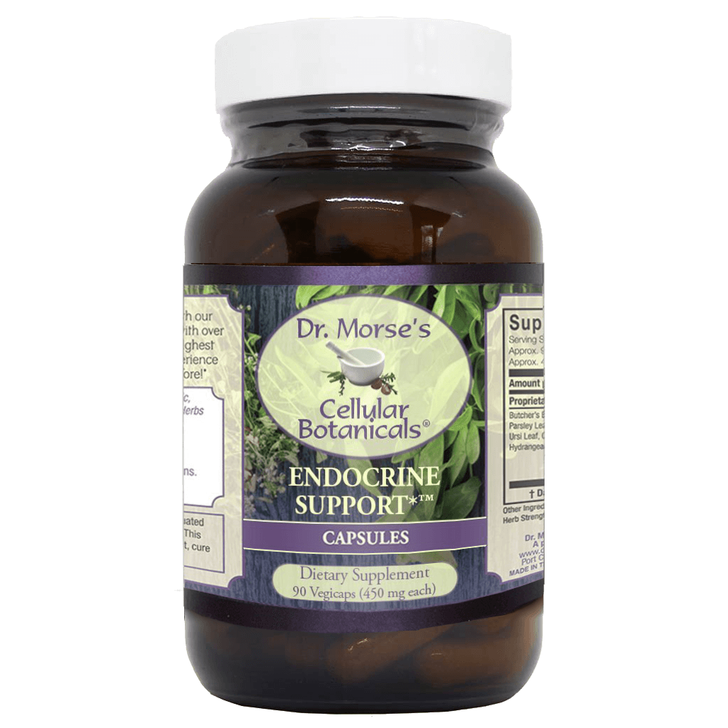 Endocrine Support (90 Capsules) NutritionVision