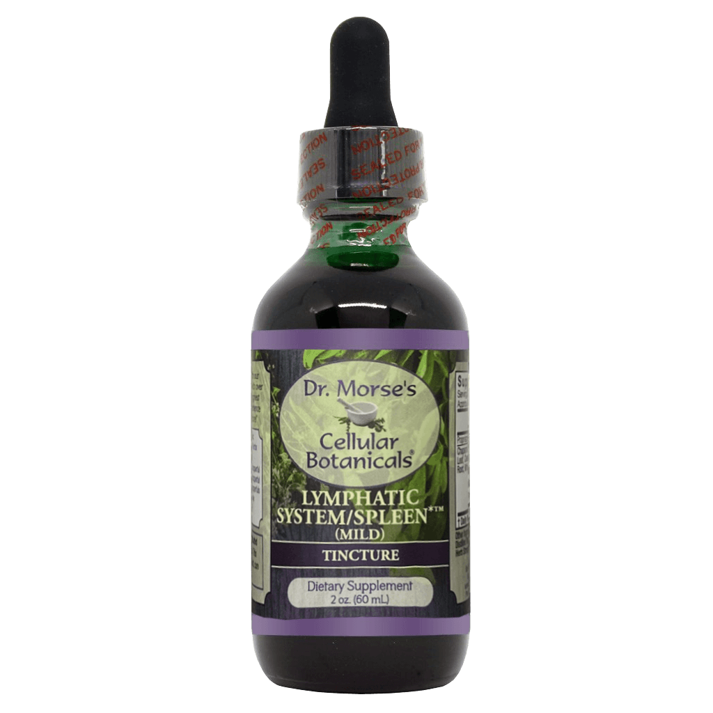 Home NutritionVision